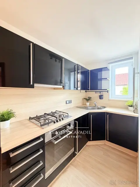 Prodej bytu 3+1 58 m² se zahradou, Pardubice - Bílé Předměst