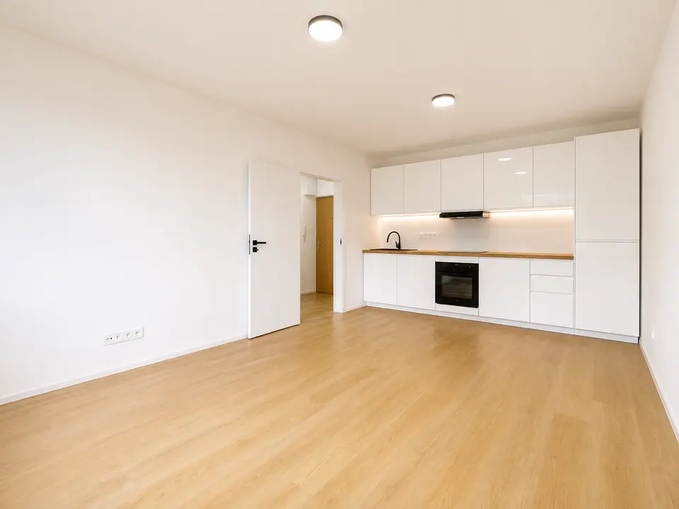 Prodej bytu 2+kk 40 m², Plukovníka Mráze, Praha
