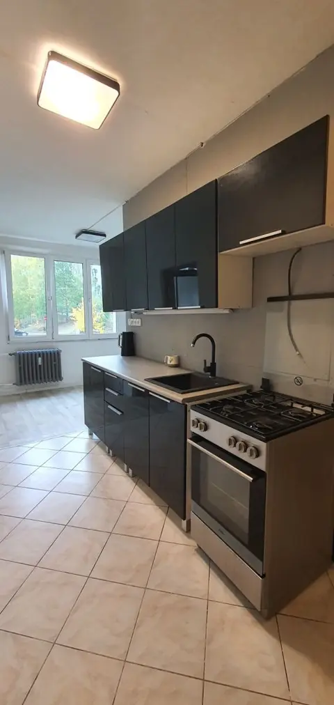 Prodej bytu 2+1 62 m², Slavíčkova, Sokolov