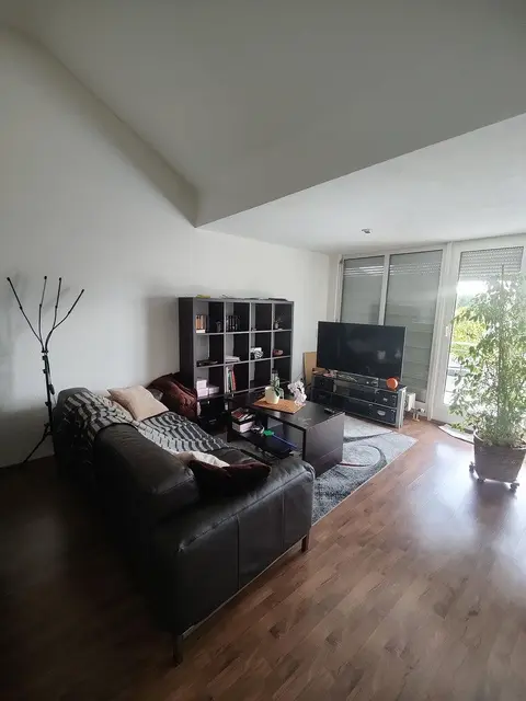 Pronájem bytu 2+1 53 m², Wendlingen