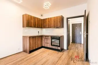 Pronájem, byty/1+kk, 27.3 m2, Ondrova 349/88, 63500 Brno, Br