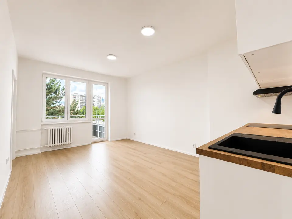 Prodej bytu 2+kk 44 m², U Slavie, Praha
